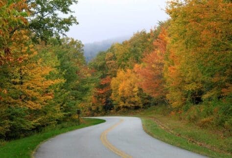 Blowing Rock fall colors