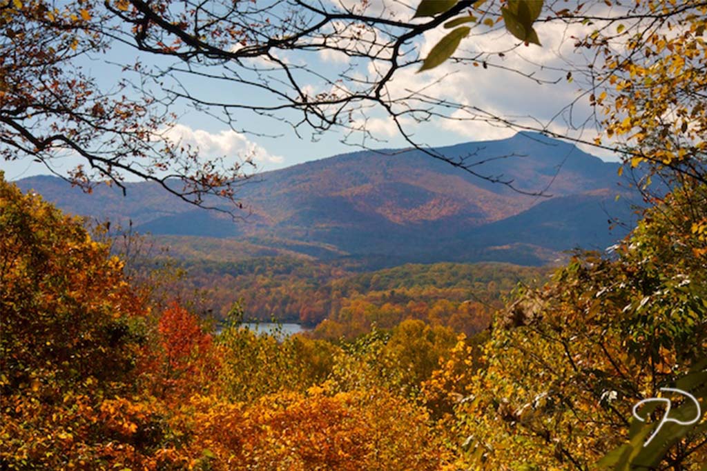 High Country Fall Colors, High Country fall colors forecast