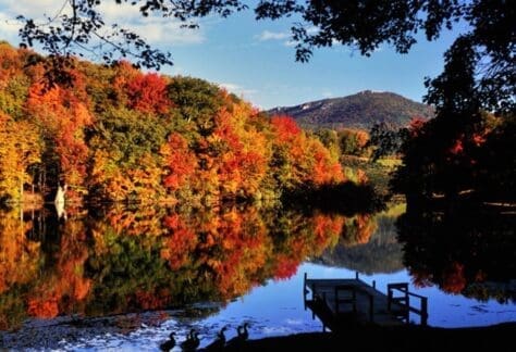 Banner Elk fall colors