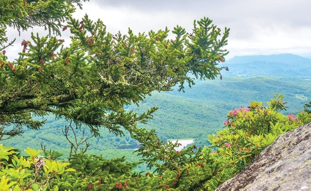 Grandfather Mountain