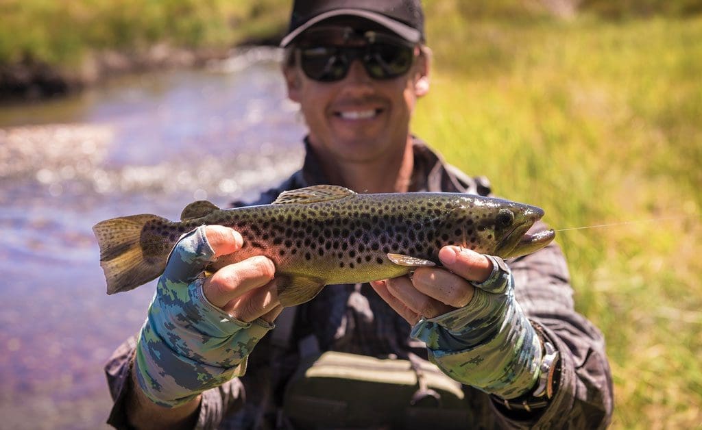 trout recipes